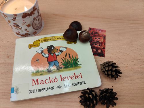 mackó.jpeg