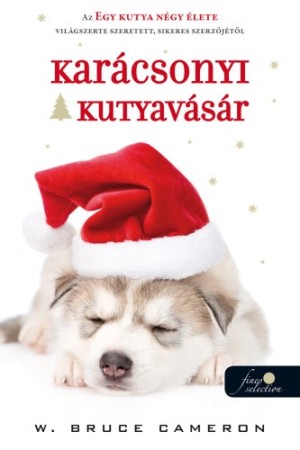 karacsonyi-kutyavasar